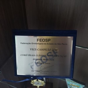 Criatório Prorrogação