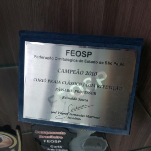 Criatório Prorrogação