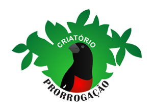 Contato | Criatório Prorrogação - Irmãos do Sul - Itajaí/SC
